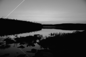 Harrie Lake Labrador