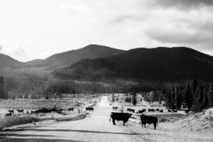 Kananaskis Valley