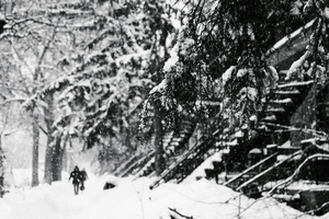Dans la neige de Montreal