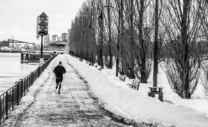 Dans le Vieux-Port Montreal