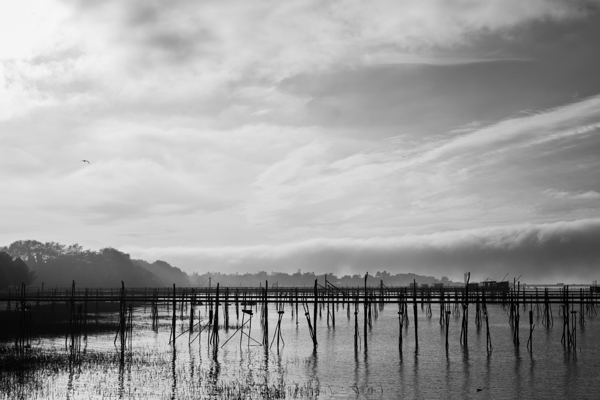 Estuaire de la Loire - Loire Estuary by Sara Teinturier   Photographie