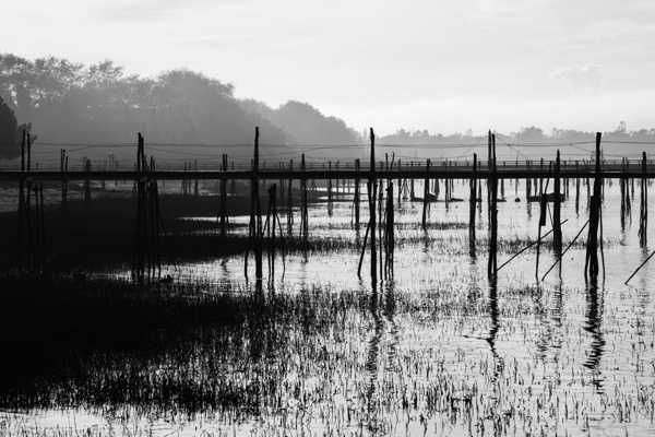 Estuaire de la Loire - Loire Estuary by Sara Teinturier   Photographie