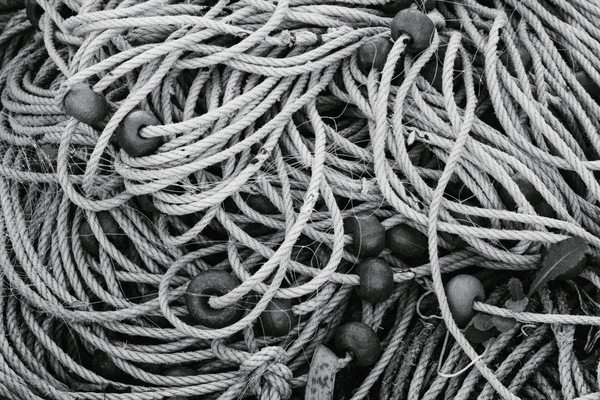 Cordages by Sara Teinturier   Photographie
