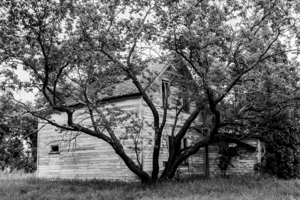 Dans le Manitoba by Sara Teinturier   Photographie