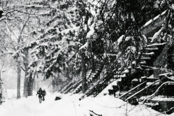 Dans la neige de Montreal by Sara Teinturier   Photographie