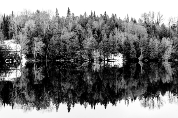 Dans les Laurentides by Sara Teinturier   Photographie