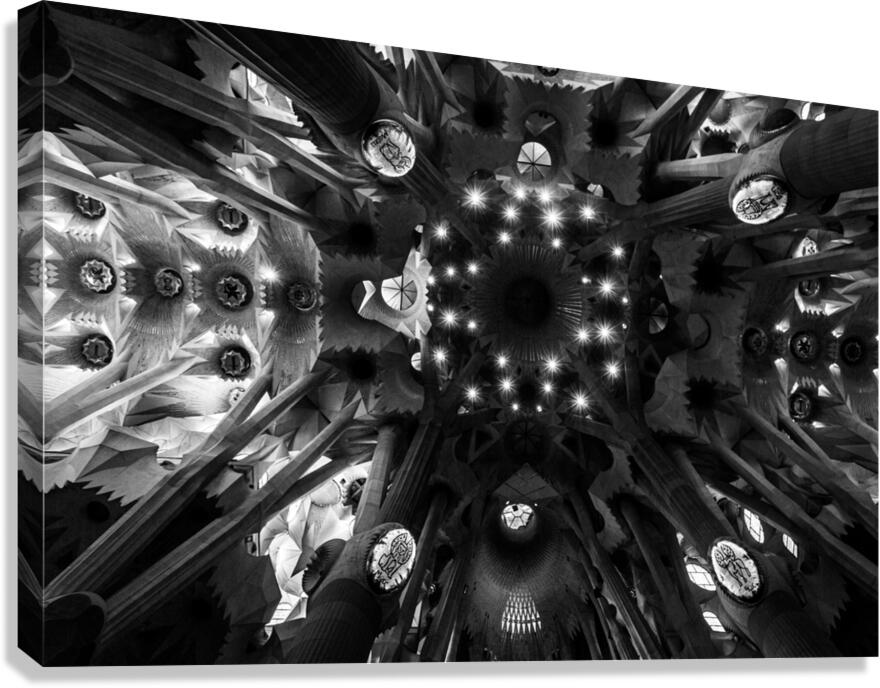 Voute celeste  Celestial Nave Canvas Print