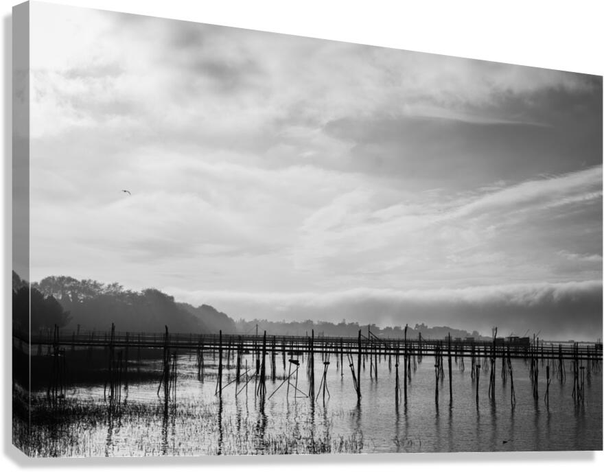 Estuaire de la Loire - Loire Estuary Canvas Print