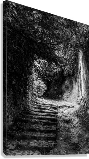 Venelle Canvas Print