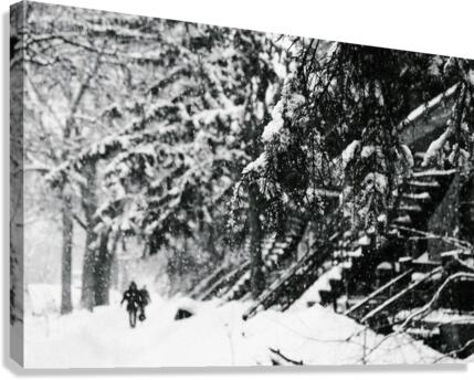 Dans la neige de Montreal  Canvas Print