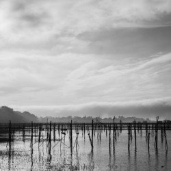 Estuaire de la Loire - Loire Estuary