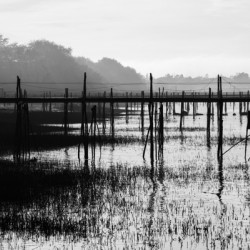 Estuaire de la Loire - Loire Estuary