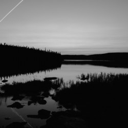 Harrie Lake Labrador
