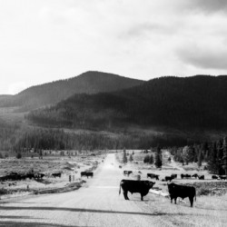 Kananaskis Valley
