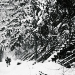Dans la neige de Montreal