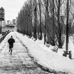 Dans le Vieux-Port Montreal