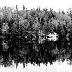 Dans les Laurentides