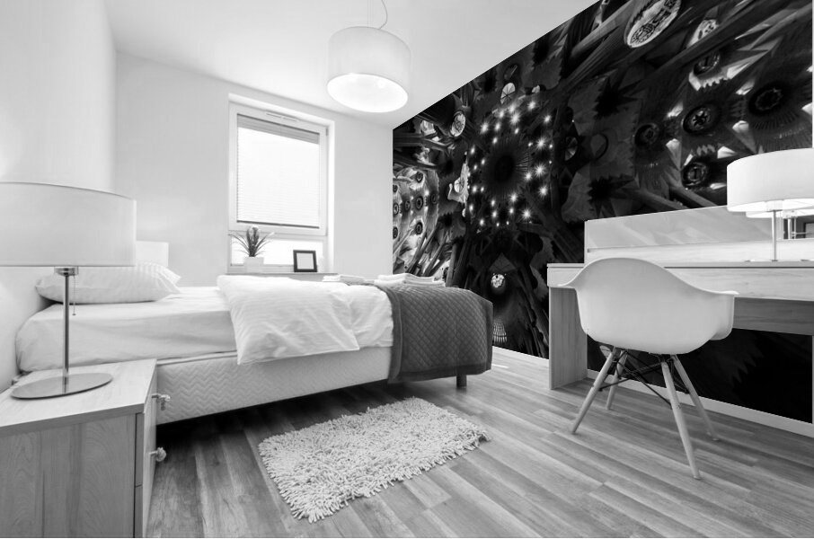 Voute celeste  Celestial Nave Mural print