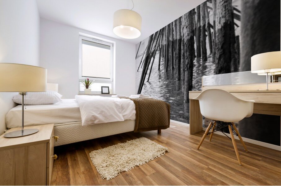 Estuaire de la Loire - Loire Estuary Mural print