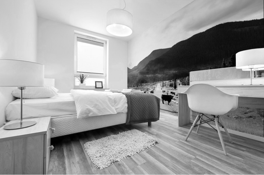 Kananaskis Valley Mural print