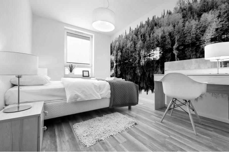 Dans les Laurentides Mural print