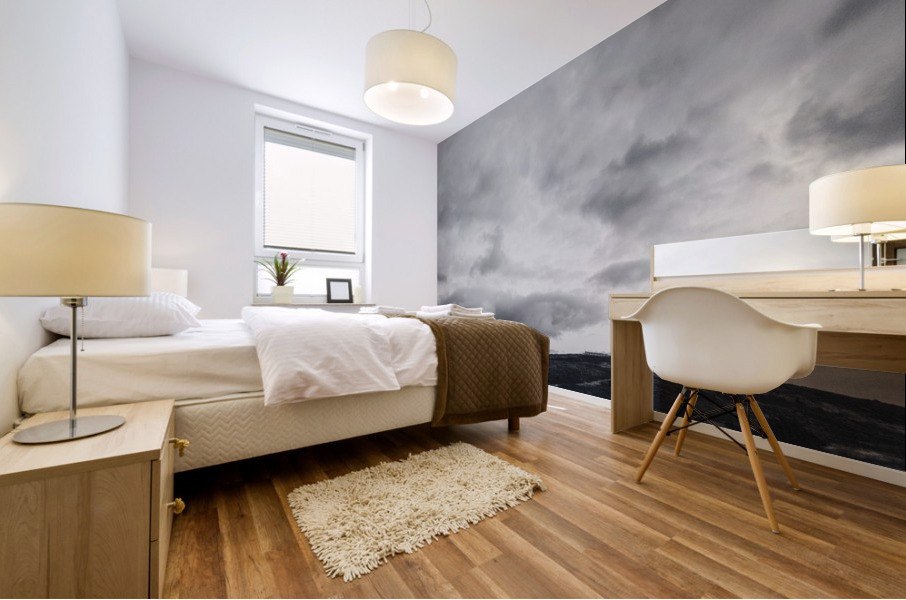 Sur la cote Mural print