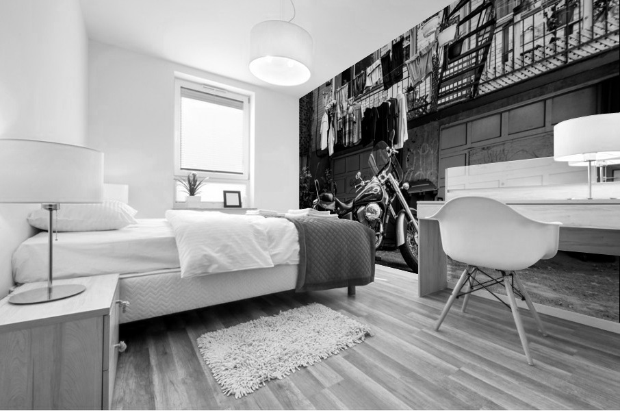 Dans la ruelle da cote Mural print