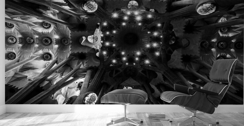 Voute celeste  Celestial Nave Wall Murals