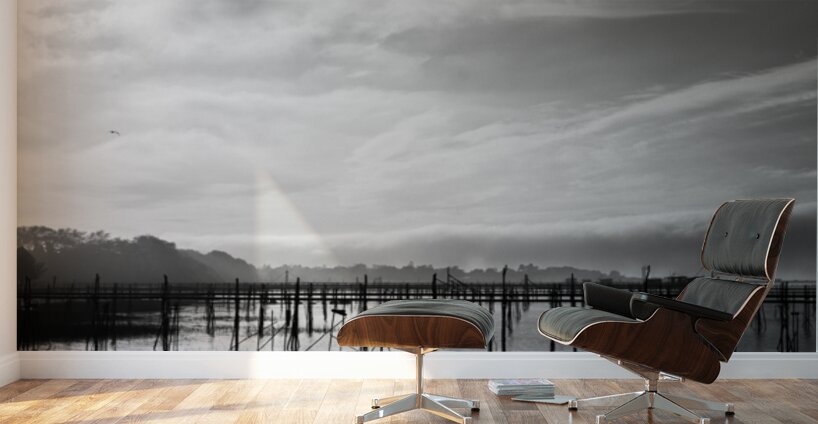 Estuaire de la Loire - Loire Estuary Wall Murals