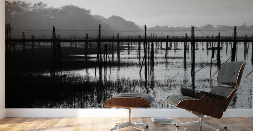 Estuaire de la Loire - Loire Estuary Wall Murals