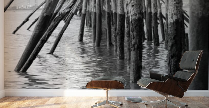 Estuaire de la Loire - Loire Estuary Wall Murals