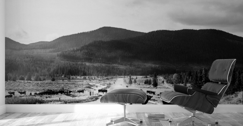 Kananaskis Valley Wall Murals
