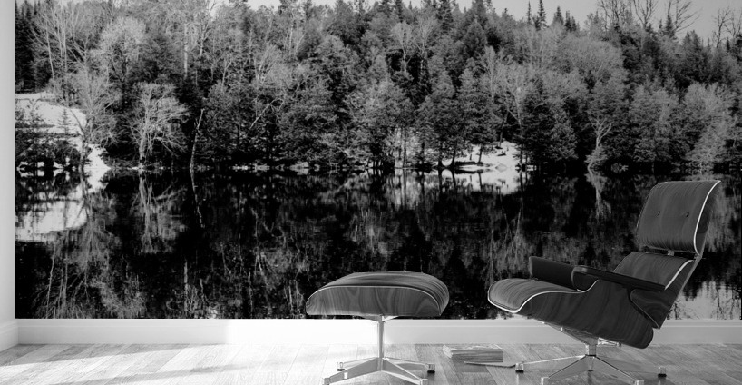 Dans les Laurentides Wall Murals