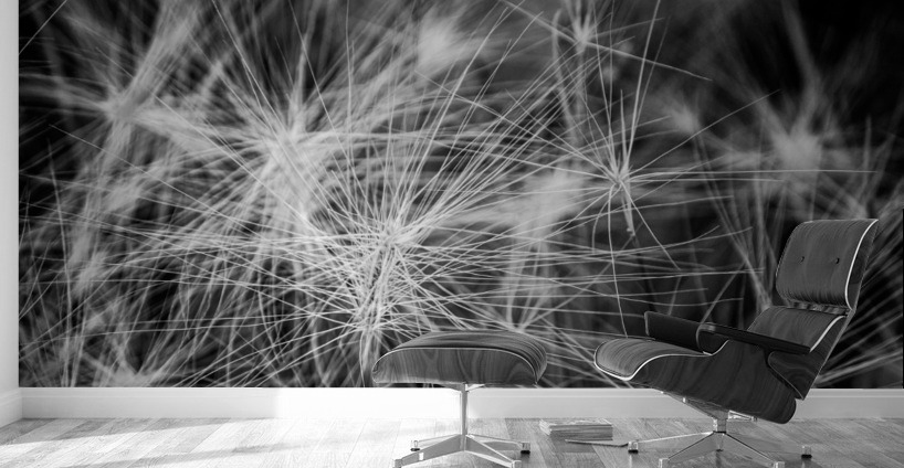 Flore de la Saskatchewan Wall Murals