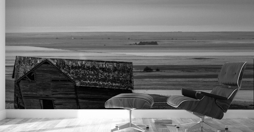 Saskatchewan Wall Murals