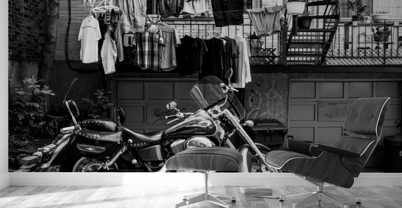 Dans la ruelle da cote Wall Murals