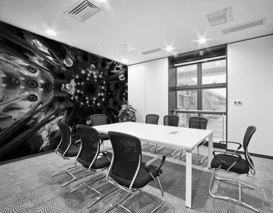 Voute celeste  Celestial Nave Wall Printing