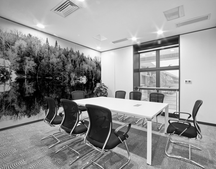 Dans les Laurentides Wall Printing