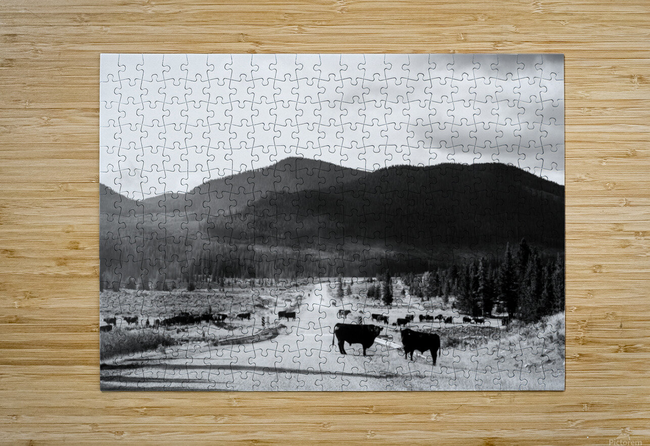 Kananaskis Valley Sara Teinturier   Photographie Puzzle printing