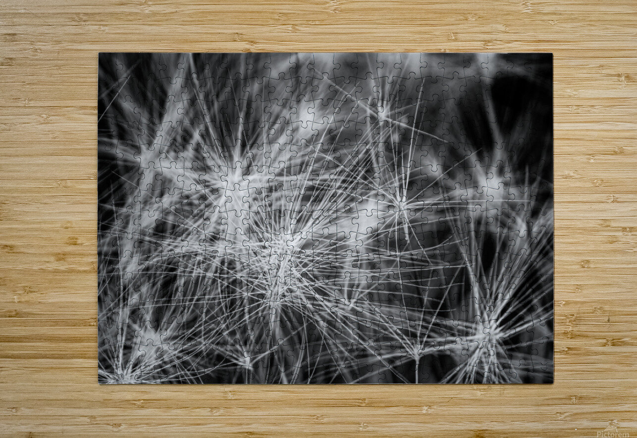 Flore de la Saskatchewan Sara Teinturier   Photographie Puzzle printing