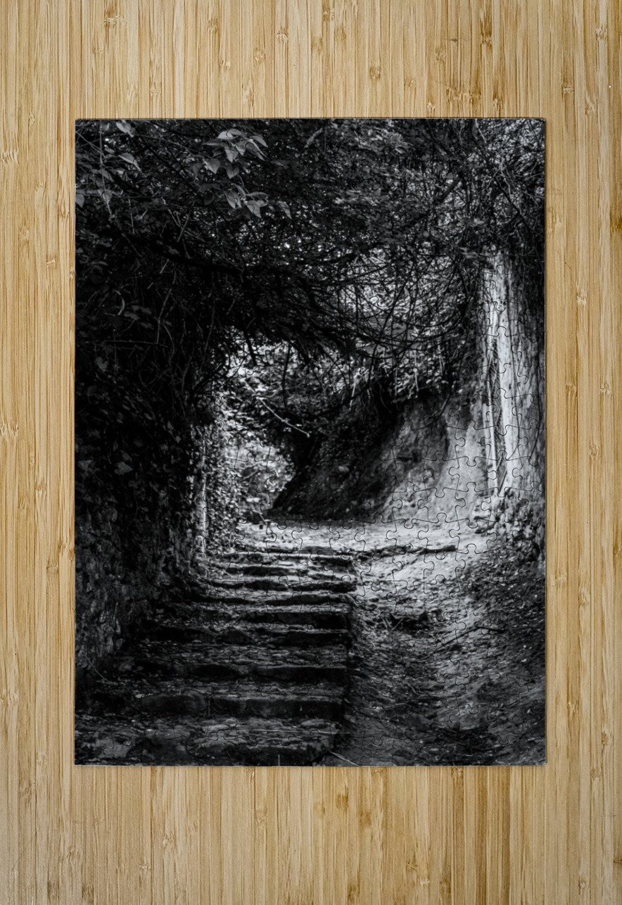 Venelle Sara Teinturier   Photographie Puzzle printing