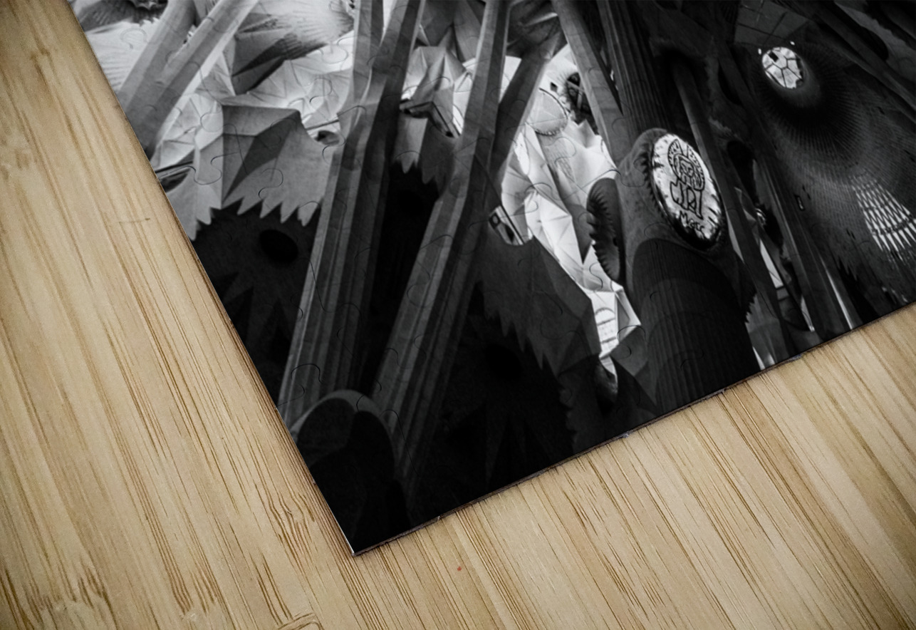 Voute celeste  Celestial Nave Sara Teinturier   Photographie Puzzle