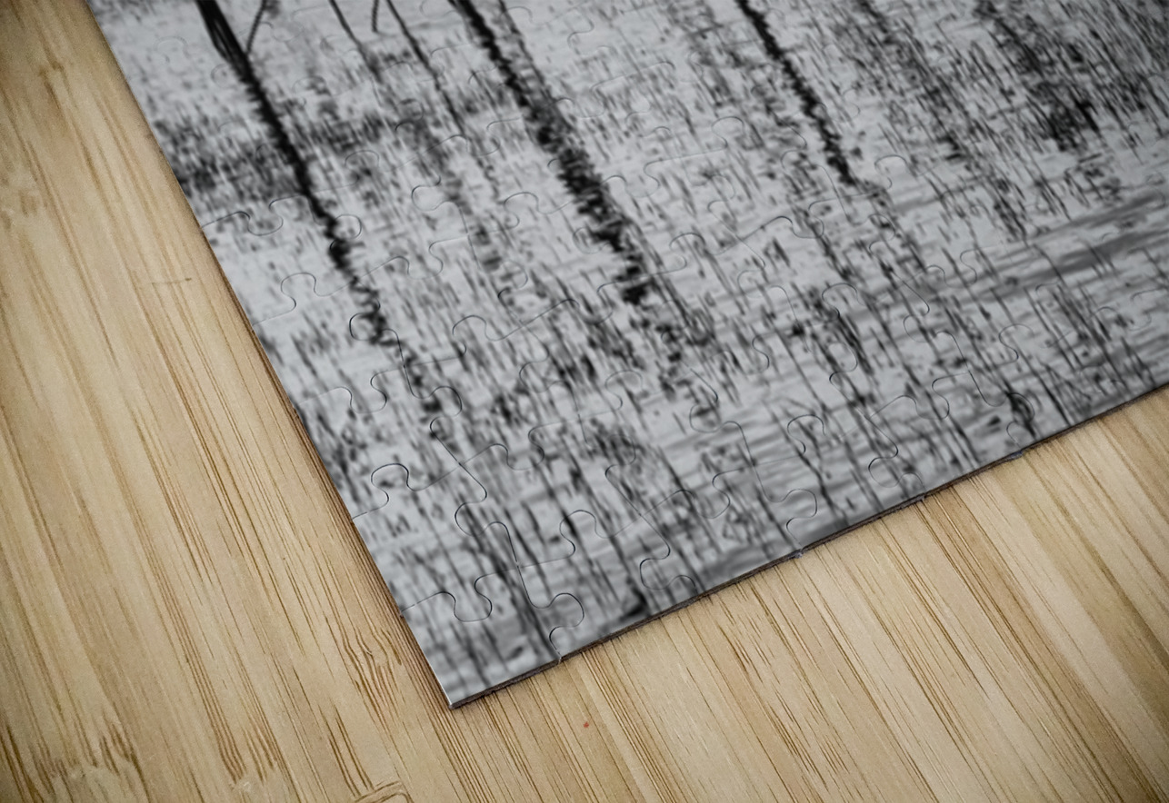 Estuaire de la Loire - Loire Estuary Sara Teinturier   Photographie Puzzle