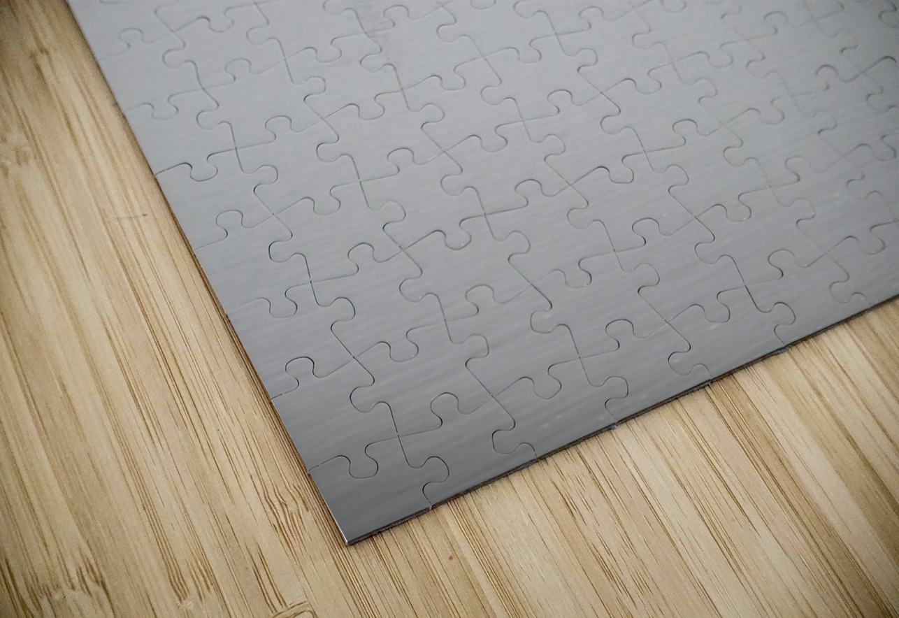 Estuaire de la Loire - Loire Estuary Sara Teinturier   Photographie Puzzle