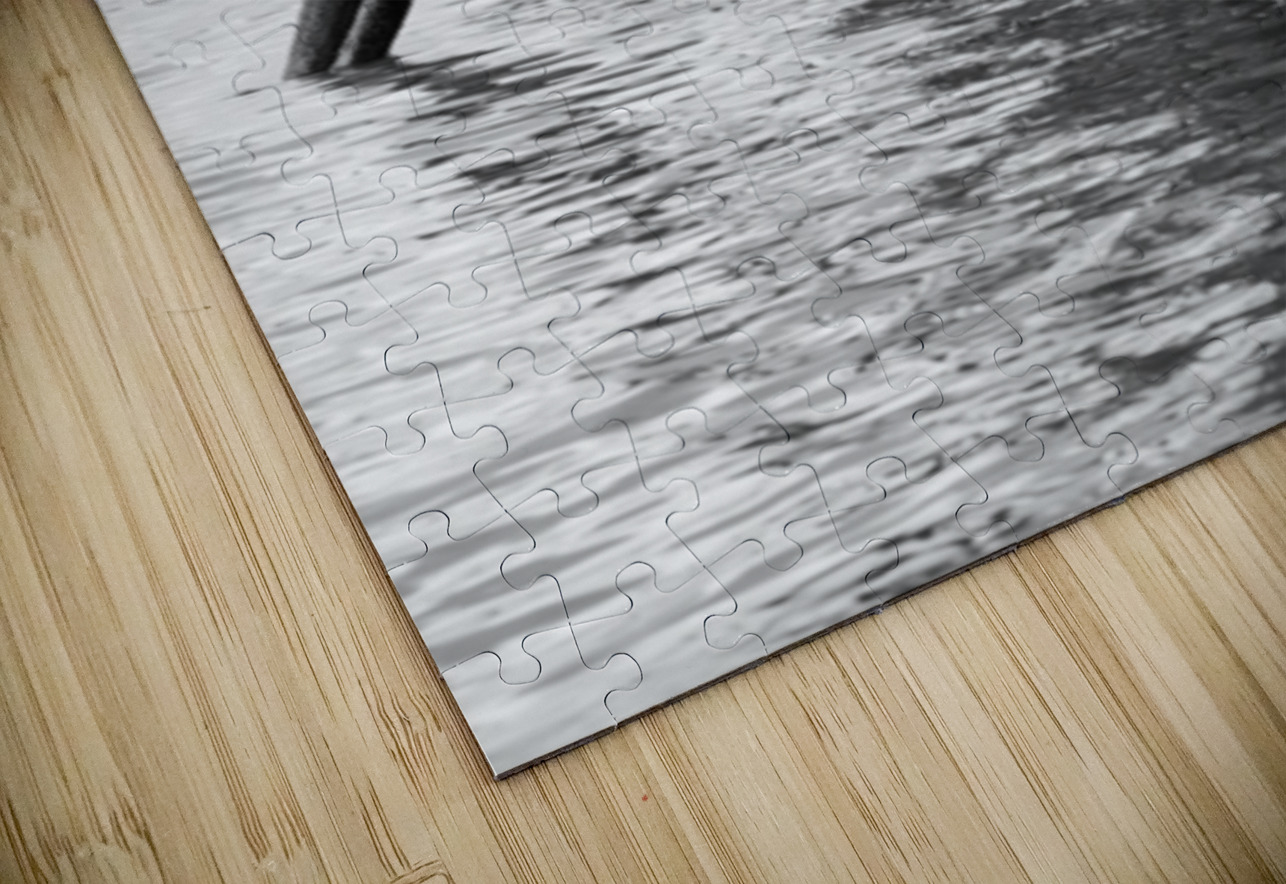 Estuaire de la Loire - Loire Estuary Sara Teinturier   Photographie Puzzle