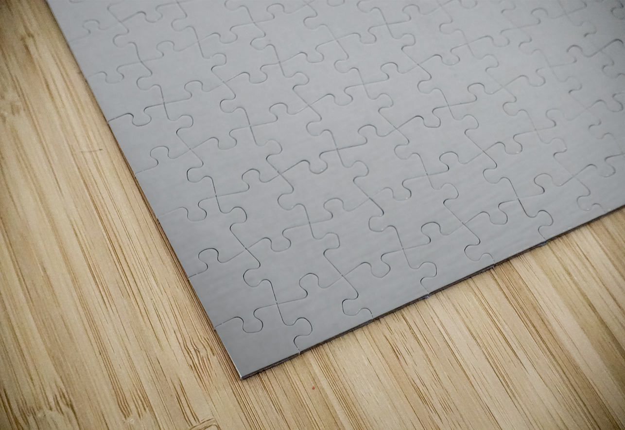 Estuaire de la Loire - Loire Estuary Sara Teinturier   Photographie Puzzle