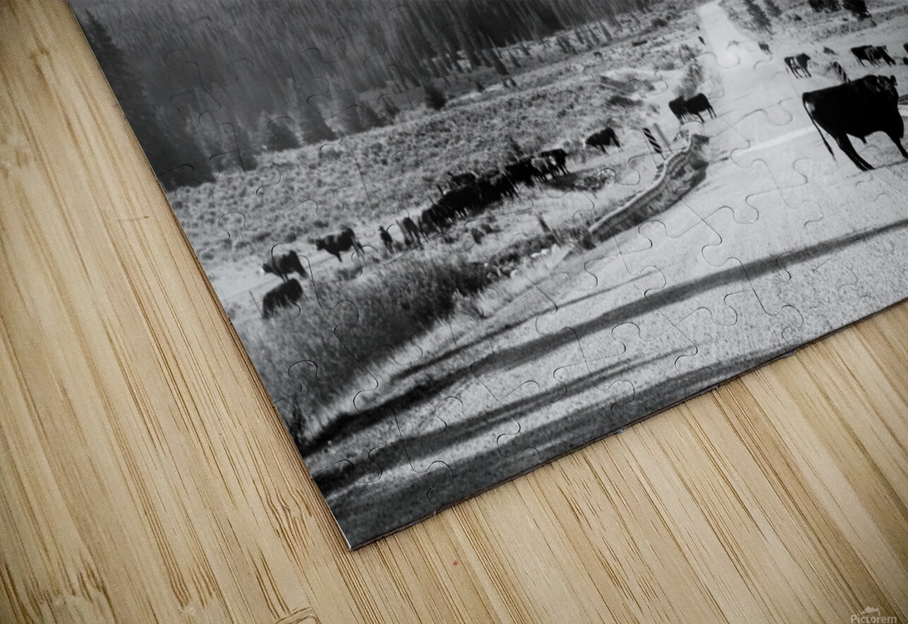 Kananaskis Valley Sara Teinturier   Photographie Puzzle