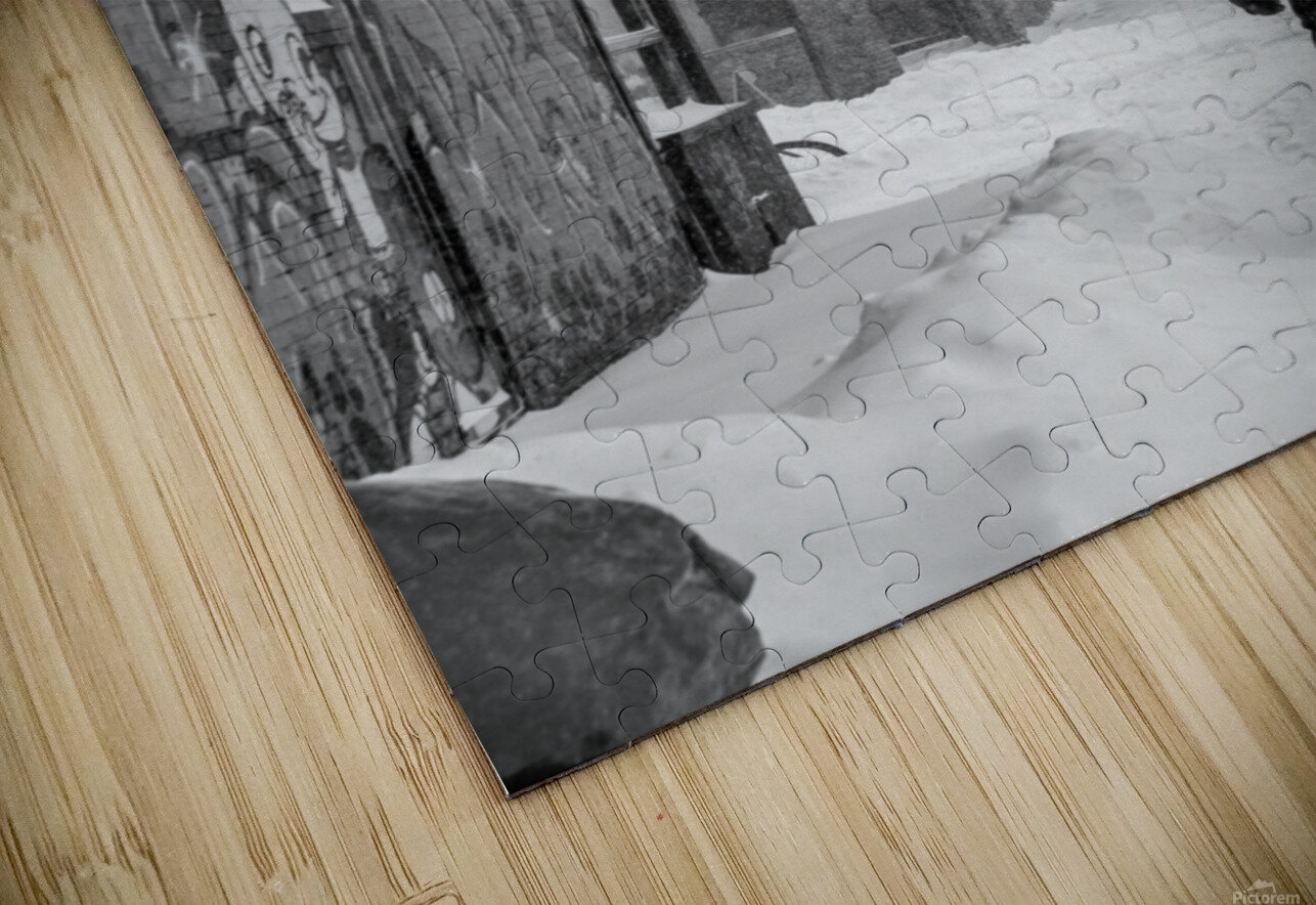 Hiver a Montreal Sara Teinturier   Photographie Puzzle