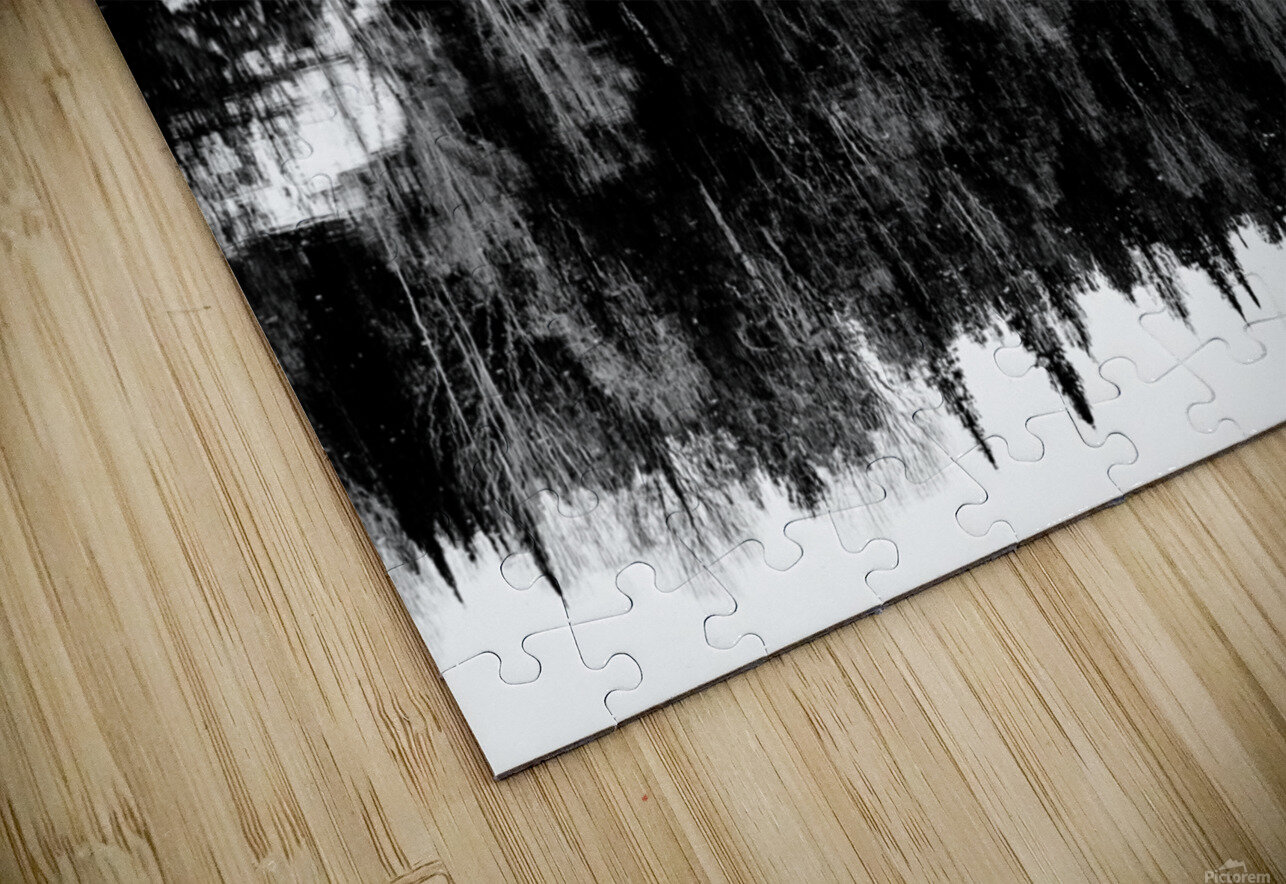 Dans les Laurentides Sara Teinturier   Photographie Puzzle