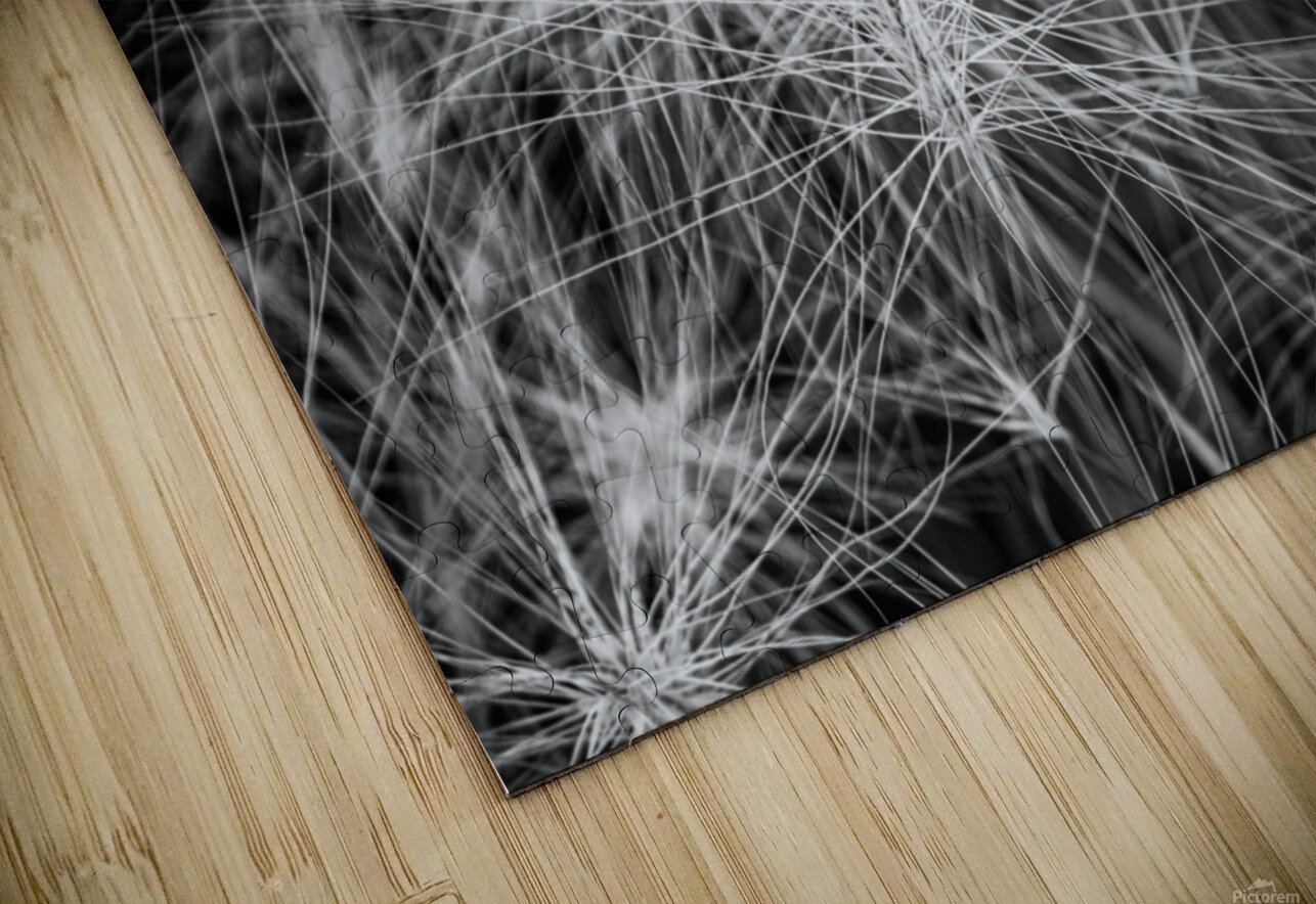 Flore de la Saskatchewan Sara Teinturier   Photographie Puzzle